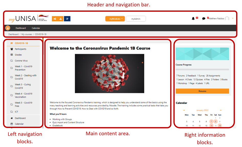 module / course site layout