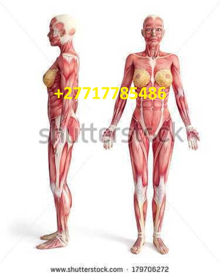 Attachment 9f8cda6b6f75e45a8f2686b74a2b3115.jpg